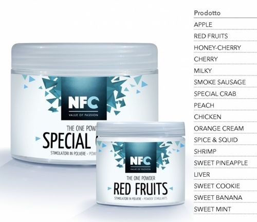 NFC AROMA SPICY&SQUID 100GR